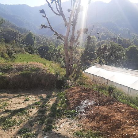 Parvatiya Homestay Mussoorie Exteriér fotografie