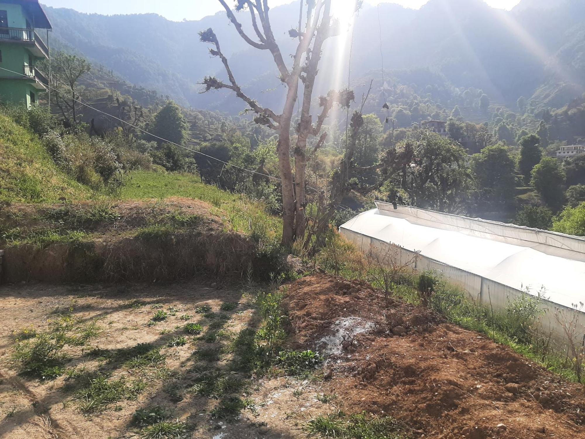 Parvatiya Homestay Mussoorie Exteriér fotografie
